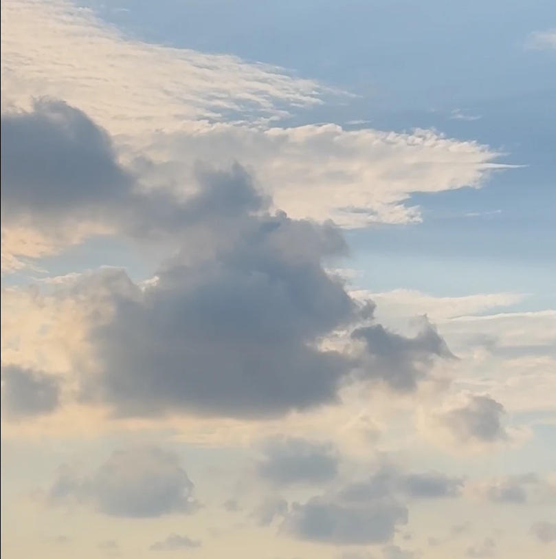 花宮ゆめ
